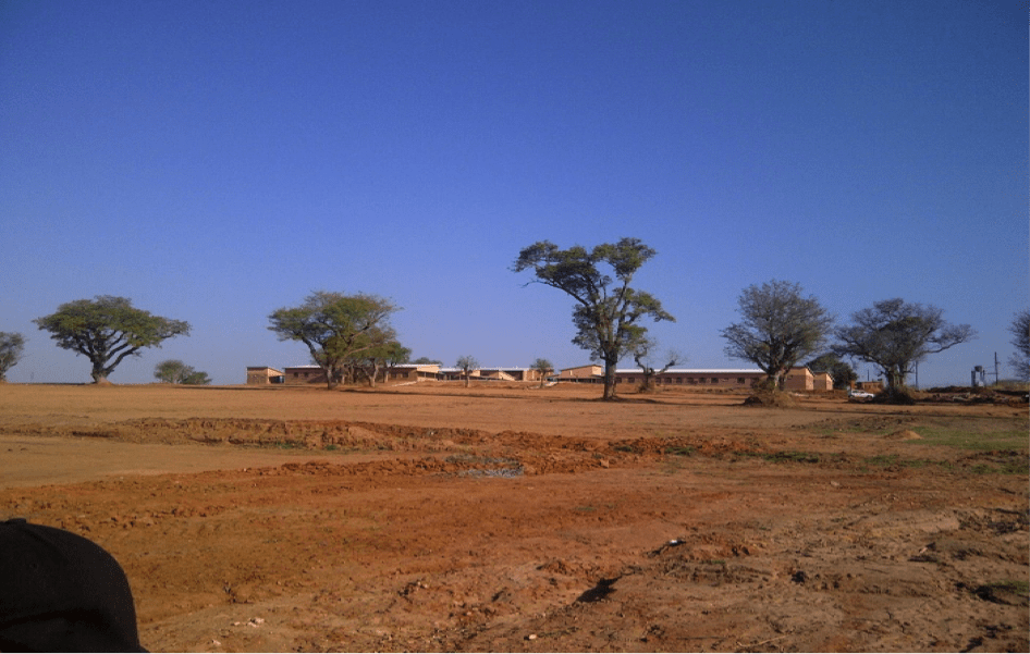 From Wetland to Wasteland